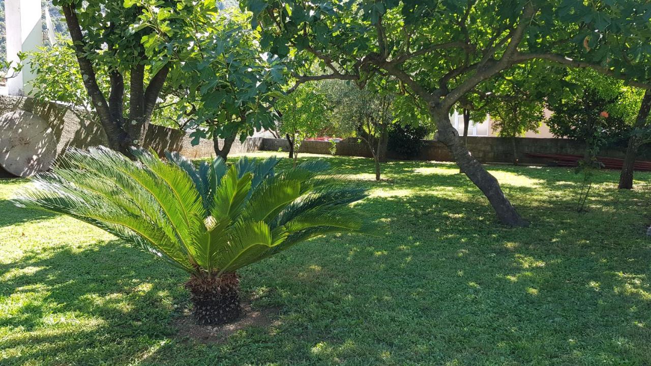 Apartment Angel Κότορ Εξωτερικό φωτογραφία