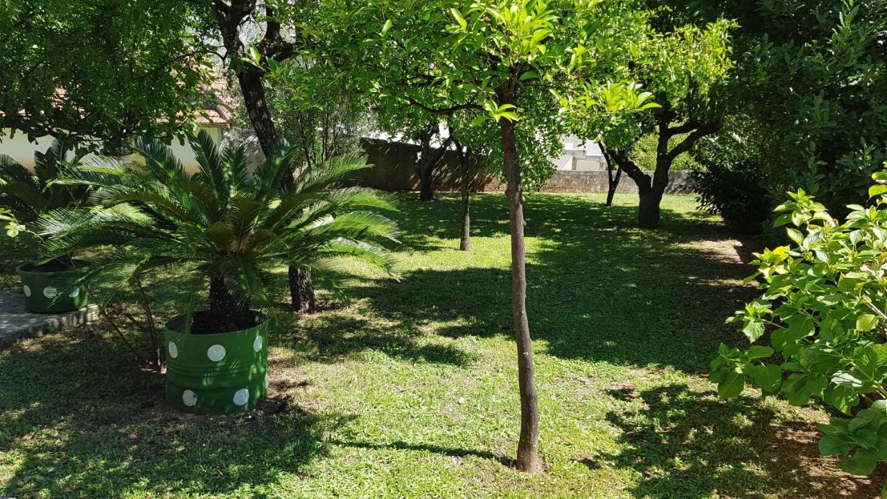Apartment Angel Κότορ Εξωτερικό φωτογραφία